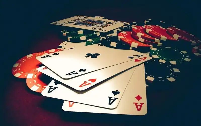 wynn88